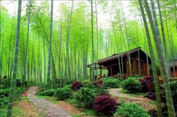 邂逅猫儿山雾凇、漓江源大峡谷、七星景区、品土鸡火锅宴、豪叹猫儿山五星超然派酒店—动车三天冬季游（全程0自费）