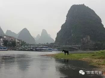 慢游阳朔:人生之路,缓缓而行才更美!